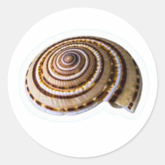 Exotic Tropical Sea Shells - Coastal Nature Collec Ronde Sticker