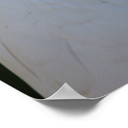 Exotic White Cockatau Poster (Hoek)