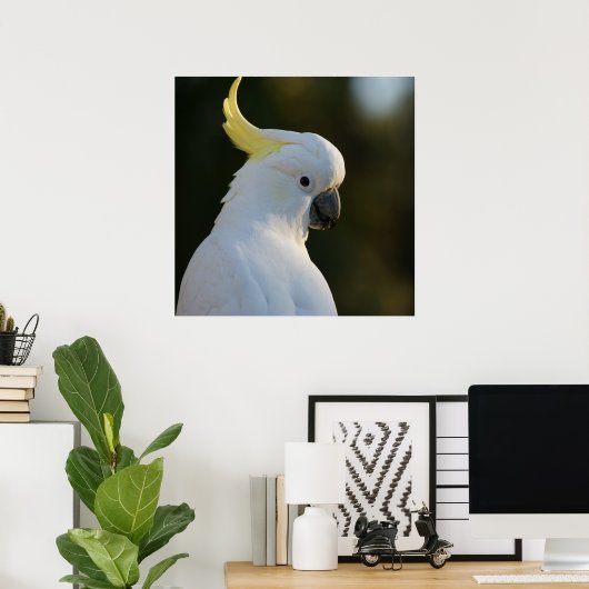 Exotic White Cockatau Poster (Thuiskantoor)