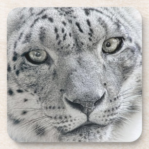 Exotic White Snow Leopard Drankjes Onderzetter