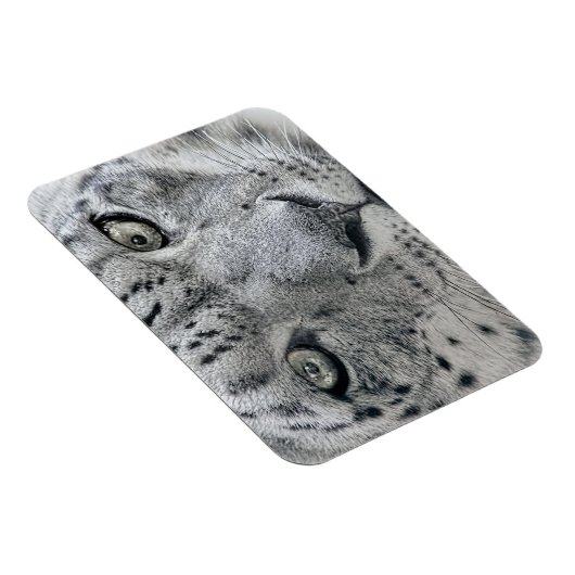 Exotic White Snow Leopard Magneet (Rechterzijde)