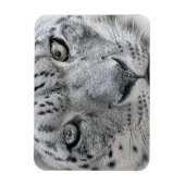 Exotic White Snow Leopard Magneet (Verticaal)