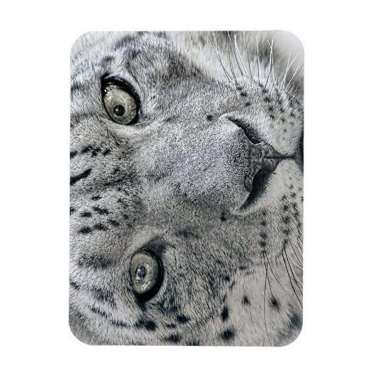 Exotic White Snow Leopard Magneet (Verticaal)