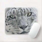 Exotic White Snow Leopard Muismat (Met muis)