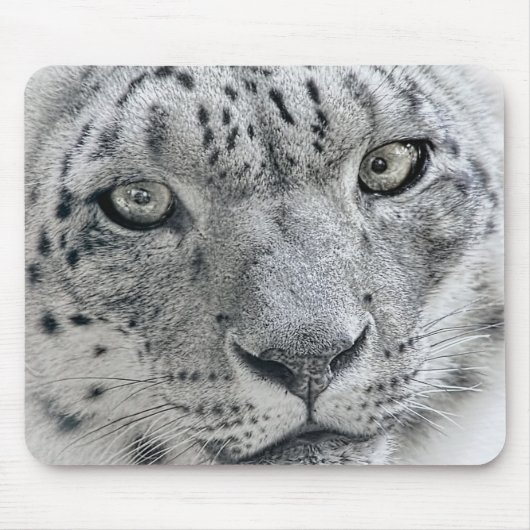 Exotic White Snow Leopard Muismat (Voorkant)