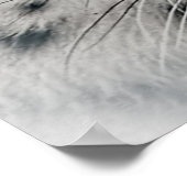 Exotic White Snow Leopard Poster (Hoek)