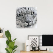 Exotic White Snow Leopard Poster (Thuiskantoor)