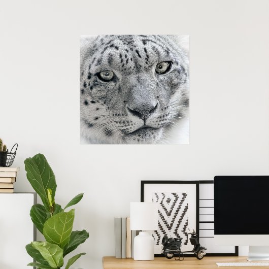 Exotic White Snow Leopard Poster (Thuiskantoor)