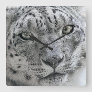 Exotic White Snow Leopard Vierkante Klok