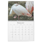 Exotic Wonders 2009 Kalender (Feb 2027)