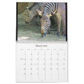 Exotic Wonders 2009 Kalender (Mar 2026)