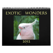 Exotic Wonders 2012 Kalender (Hoes)