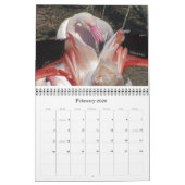 Exotic Wonders 2012 Kalender (Feb 2026)