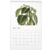 Exotica 2015 kalender (Mar 2027)