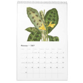 Exotica 2015 kalender (Feb 2027)