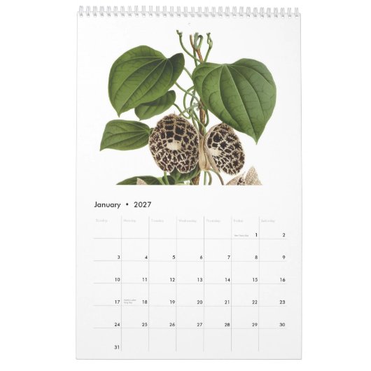 Exotica 2015 kalender (Jan 2027)