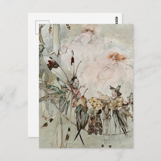 “Exotics at Play” by A Duncan Carse Briefkaart (Voorkant / Achterkant)