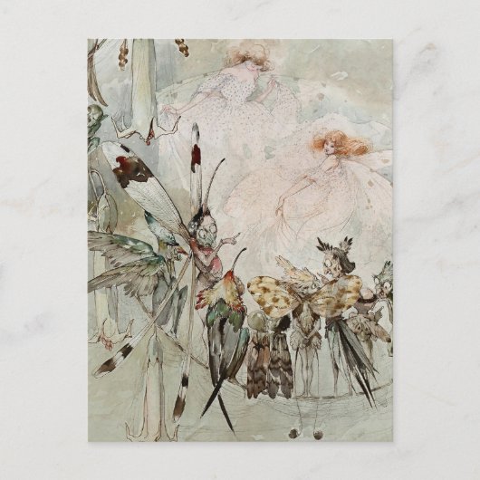 “Exotics at Play” by A Duncan Carse Briefkaart (Voorkant)