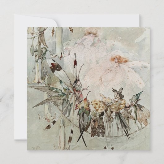 “Exotics at Play” by A Duncan Carse Feestdagenkaart (Voorkant)