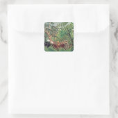 Exotisch landschap, 1910 vierkante sticker (Tas)