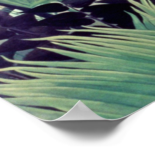 Exotisch landschap poster (Hoek)