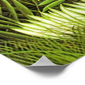 Exotisch landschap van Henri Rousseau Poster (Hoek)