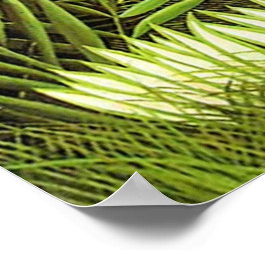 Exotisch landschap van Henri Rousseau Poster (Hoek)