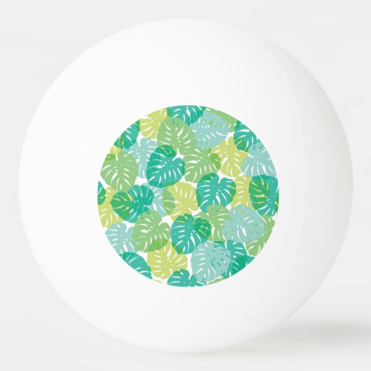 Exotisch Plant: Tropical Monstera Pingpongbal (Voorkant)