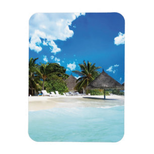 Exotisch strand magneet