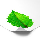 Exotisch Tropisch Groen Blad met Rode Aders Macro Poster (Hoek)
