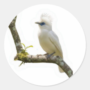 Exotische Bali Starling Vogel Cultureel Erfgoed St Ronde Sticker