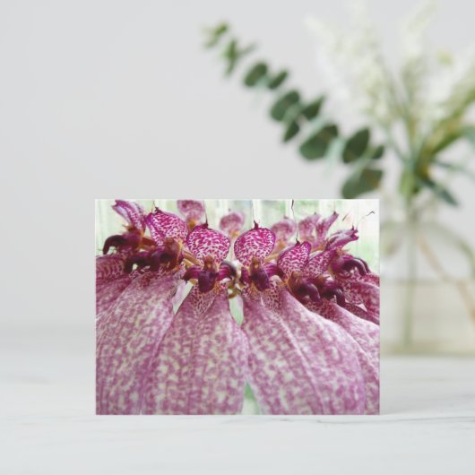 exotische bloem briefkaart (Staand voorkant)