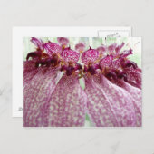 exotische bloem briefkaart (Voorkant / Achterkant)