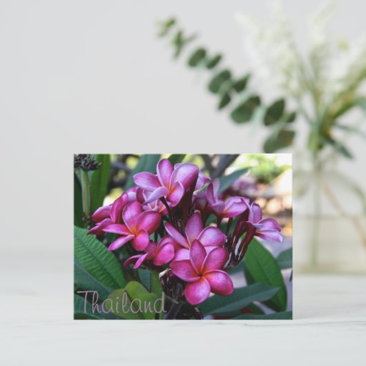 Exotische bloem, Briefkaart (Staand voorkant)