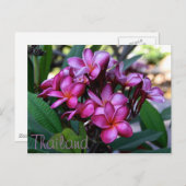 Exotische bloem, Briefkaart (Voorkant / Achterkant)