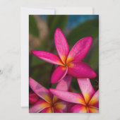 Exotische bloemachtergrond-plumeria kaart (Voorkant)
