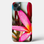 Exotische bloemachtergrond-plumerie-bloemen Case-Mate iPhone case (Achterkant)
