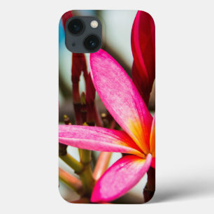 Exotische bloemachtergrond-plumerie-bloemen Case-Mate iPhone case