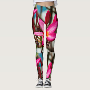 Exotische bloemachtergrond-plumerie-bloemen leggings
