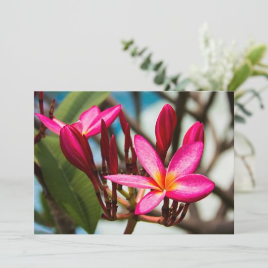 Exotische bloemen achtergrond plumeria bloesem kaart (Staand voorkant)