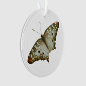 Exotische Butterfly uit Saint Lucia Ornament (voorkant)