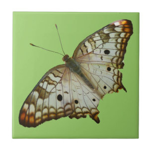 Exotische Butterfly uit Saint Lucia Tegeltje