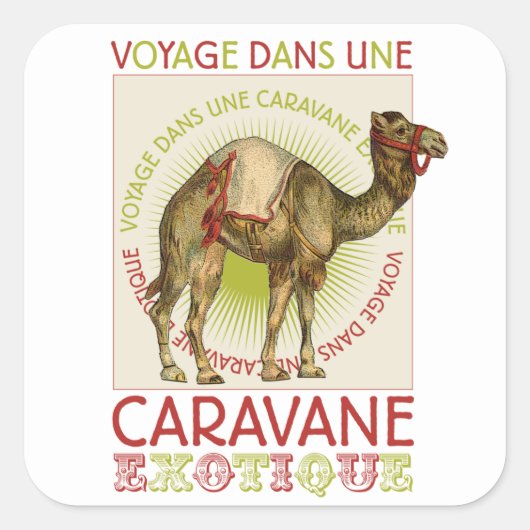 Exotische Caravan Camel Stickers (Voorkant)