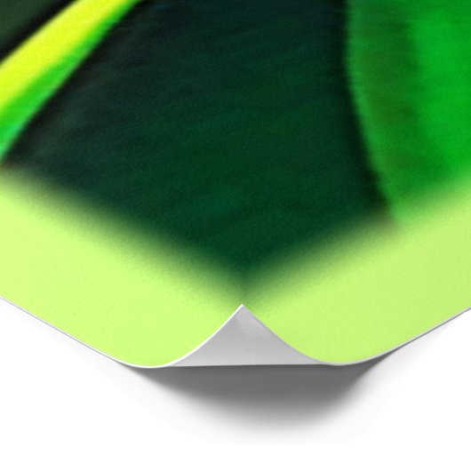 Exotische drakenfruitbloei poster (Hoek)