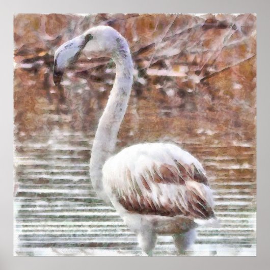 Exotische flamingo-Waterverf Poster (Voorkant)