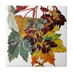 Exotische Flora #3 op SunshineDazzle Tegeltje