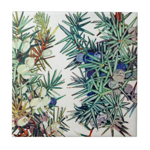 Exotische Flora #7 op SunshineDazzle Tegeltje