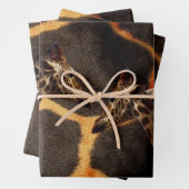 Exotische Giraffes, schitterende omloopset Inpakpapier Vel (In situ)