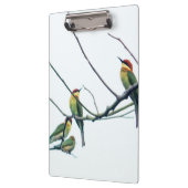 Exotische Indische kerala Bijen-Eater vogels op bi Klembord (Links)