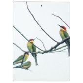 Exotische Indische kerala Bijen-Eater vogels op bi Klembord (Achterkant)